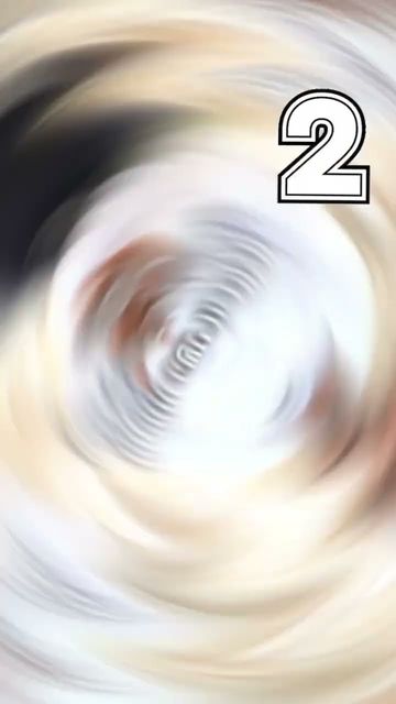 ניפוץ מיתוסים | סגל שמחיוב